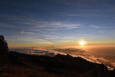 国服回归？传网易和暴雪有望复合